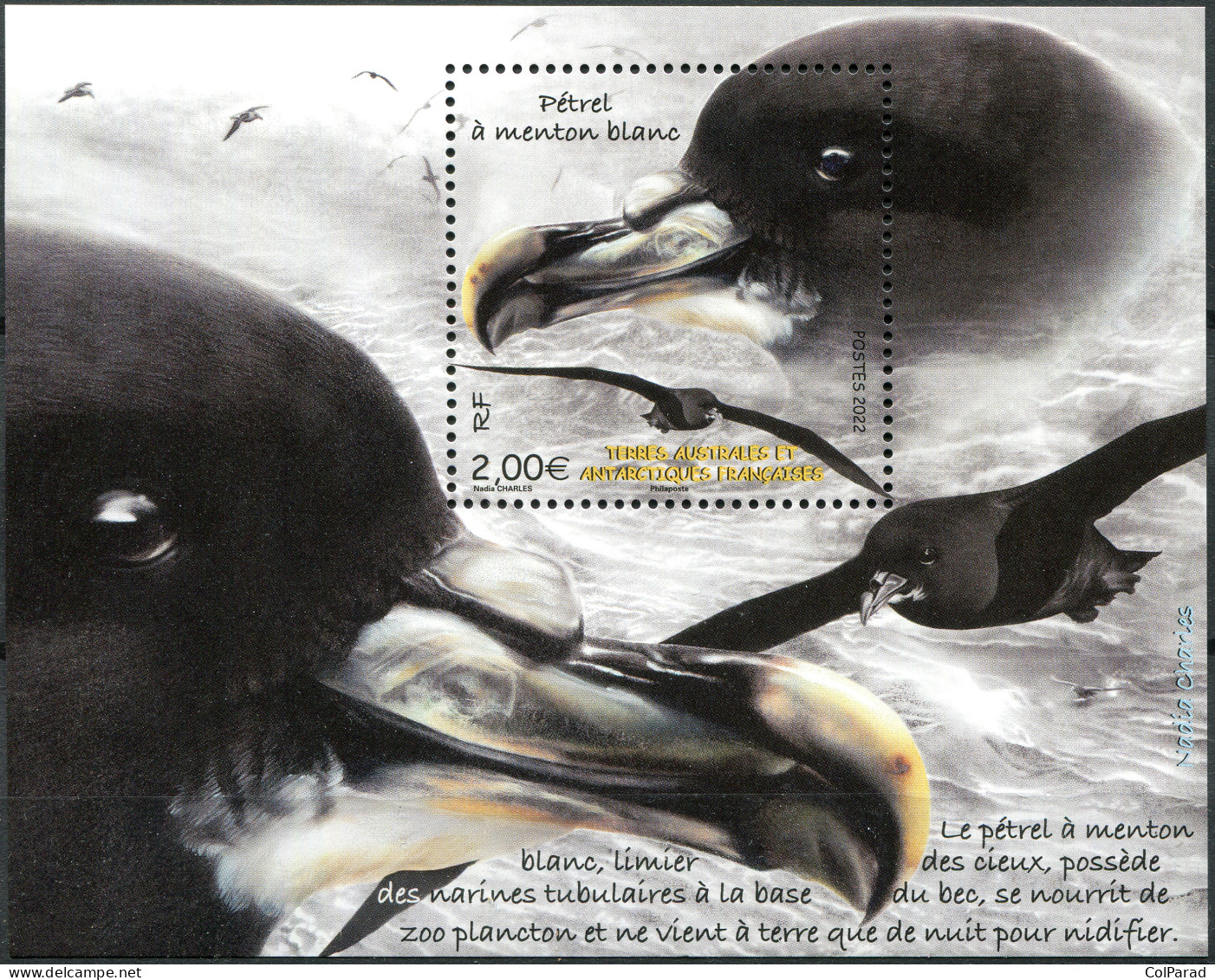 TAAF - 2022 - SOUVENIR SHEET MNH ** - White-Chinned Petrel - Unused Stamps