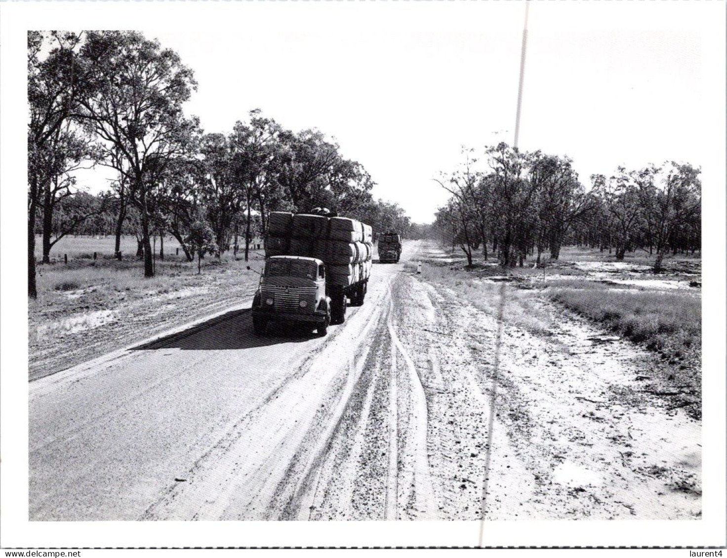 10-3-2024 (2 Y 36) Australia - QLD- B/w - Wool Truck - Camions & Poids Lourds