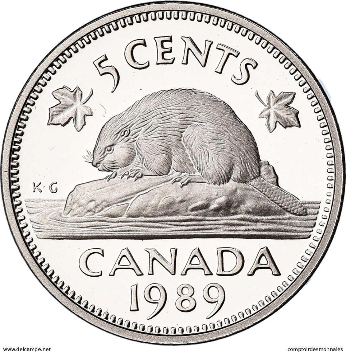 Monnaie, Canada, Elizabeth II, 5 Cents, 1989, Royal Canadian Mint, Ottawa, BE - Canada