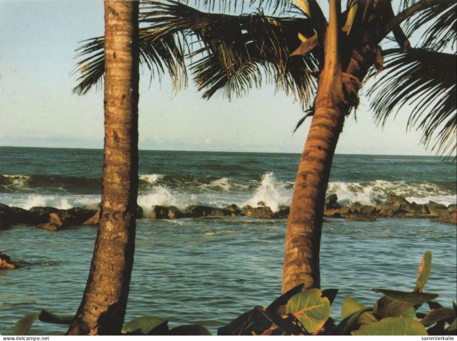 121988 - Barbados - Barbados - Brandung - Barbades