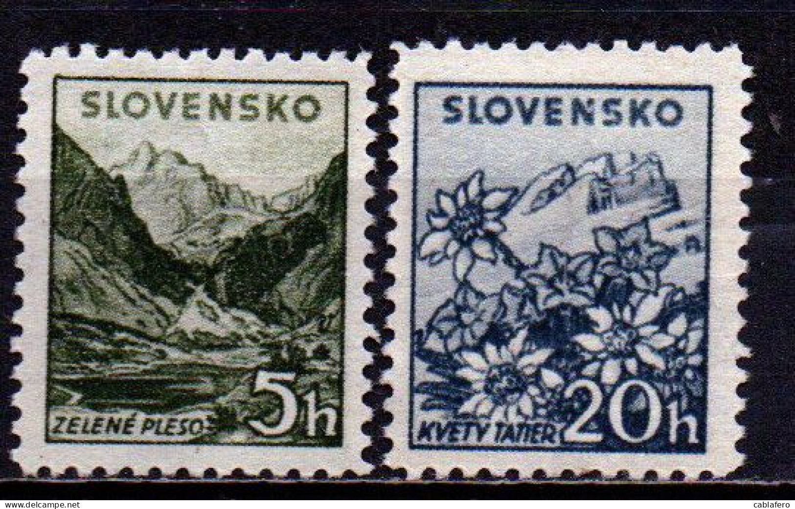 SLOVACCHIA - 1940 - Tatra Mountains, Edelweiss In The Tatra Mountains - SENZA GOMMA - Unused Stamps