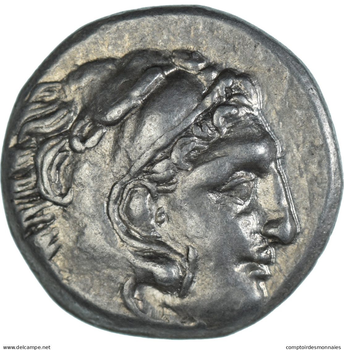 Monnaie, Royaume De Macedoine, Antigonos I Monophthalmos, Drachme, 310-301 BC - Grecques