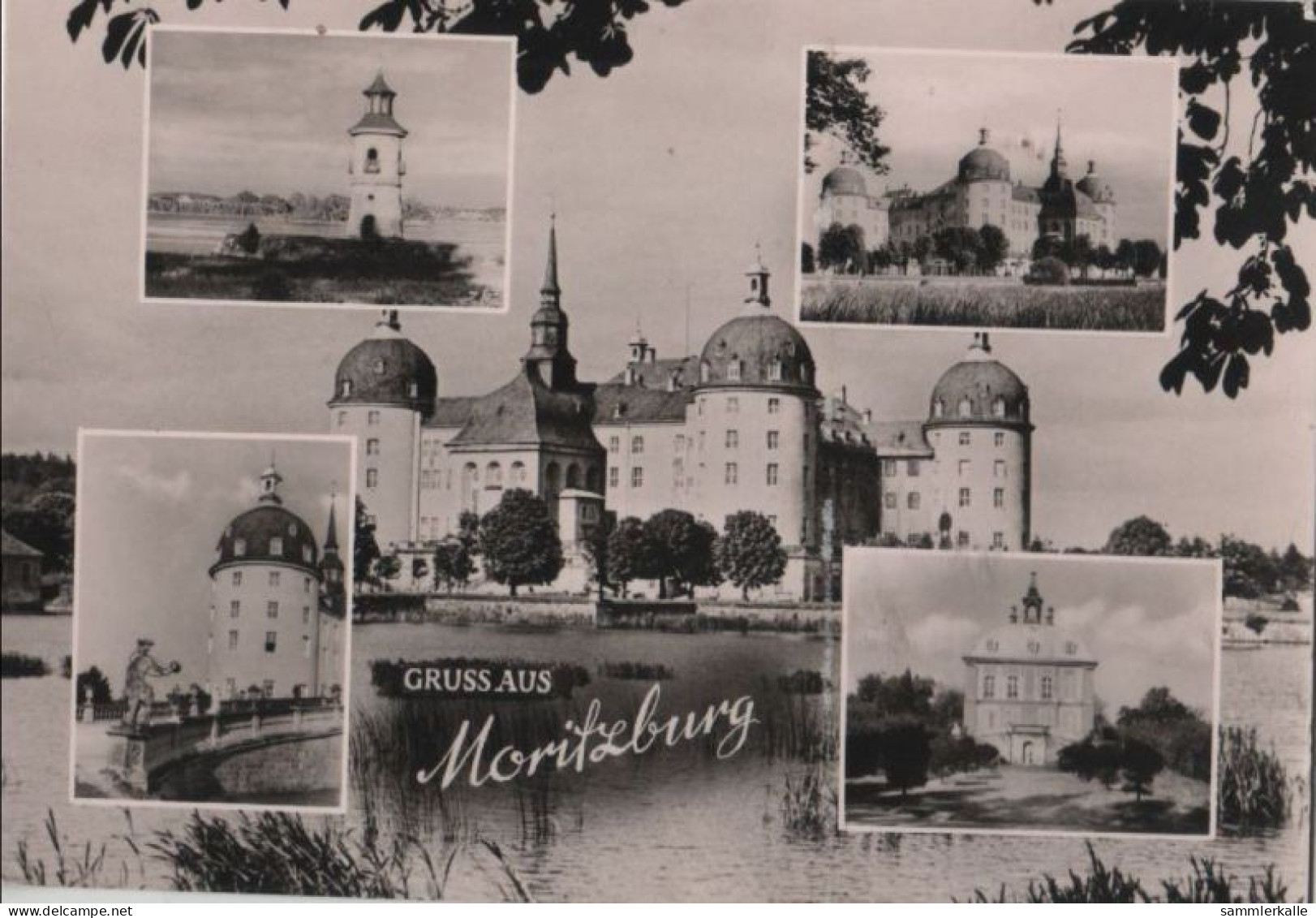81888 - Moritzburg - 5 Teilbilder - 1961 - Moritzburg