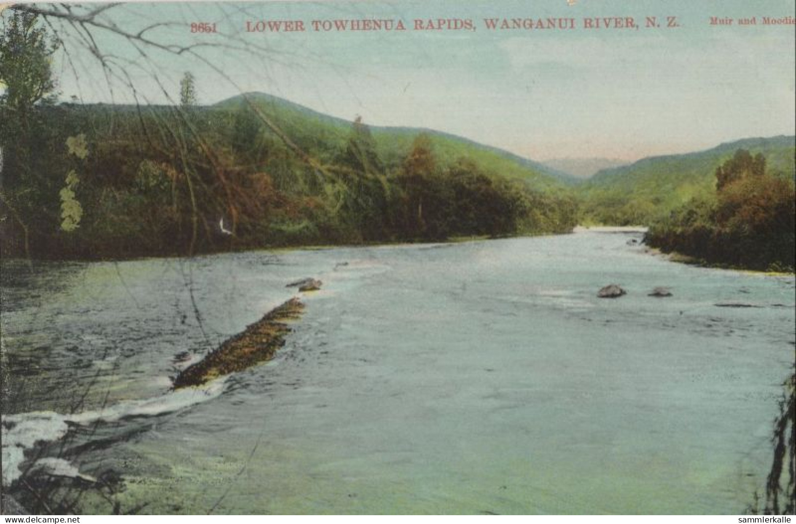 136439 - Wanganui River - Neuseeland - Lower Towhenua Rapids - Nouvelle-Zélande