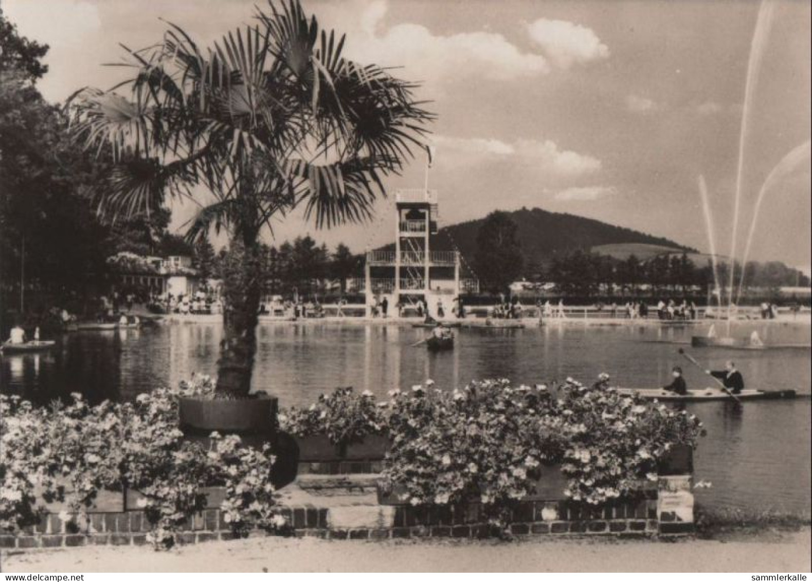 82248 - Grossschönau - Waldbad - 1971 - Grossschoenau (Sachsen)