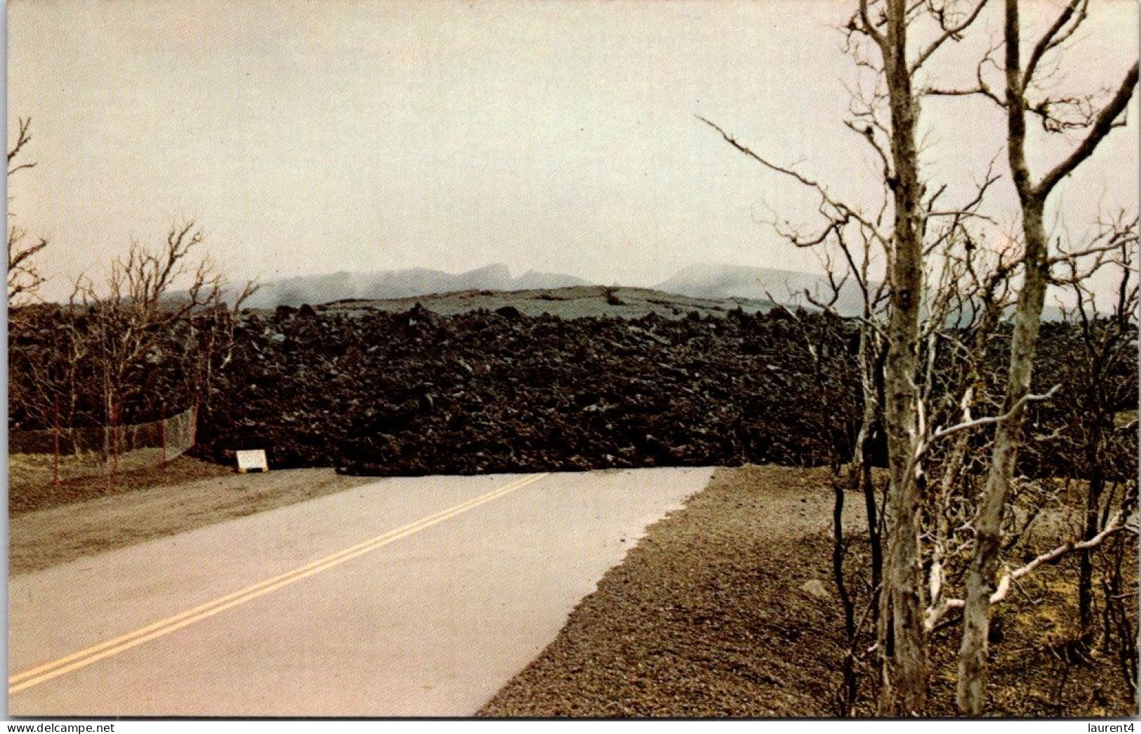 10-3-2024 (2 Y 39) USA - Hawaii Volcano  (end Of Highway Road) - Hawaï