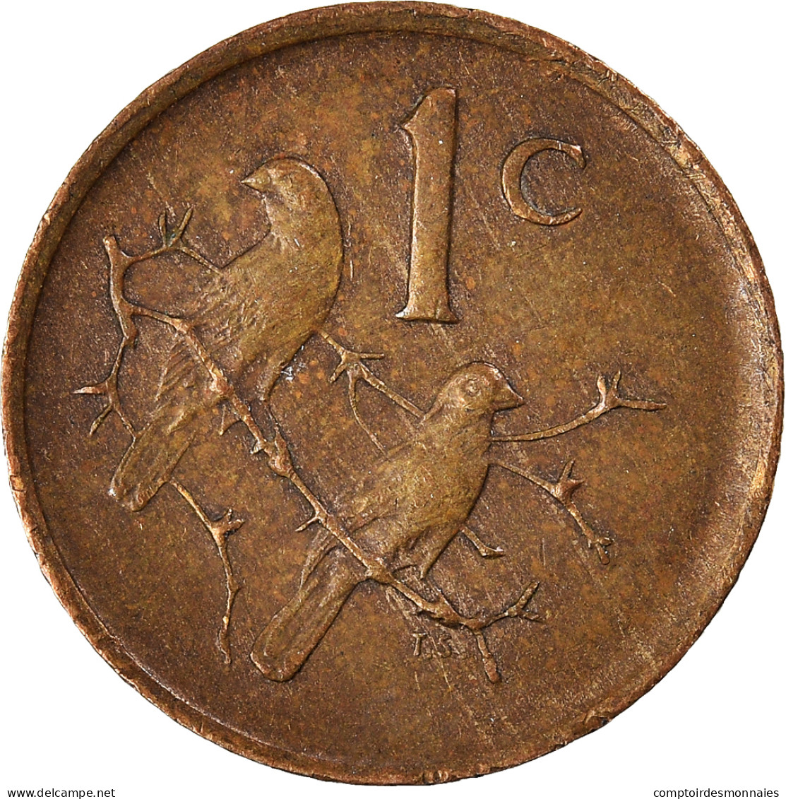 Monnaie, Afrique Du Sud, Cent, 1989 - South Africa