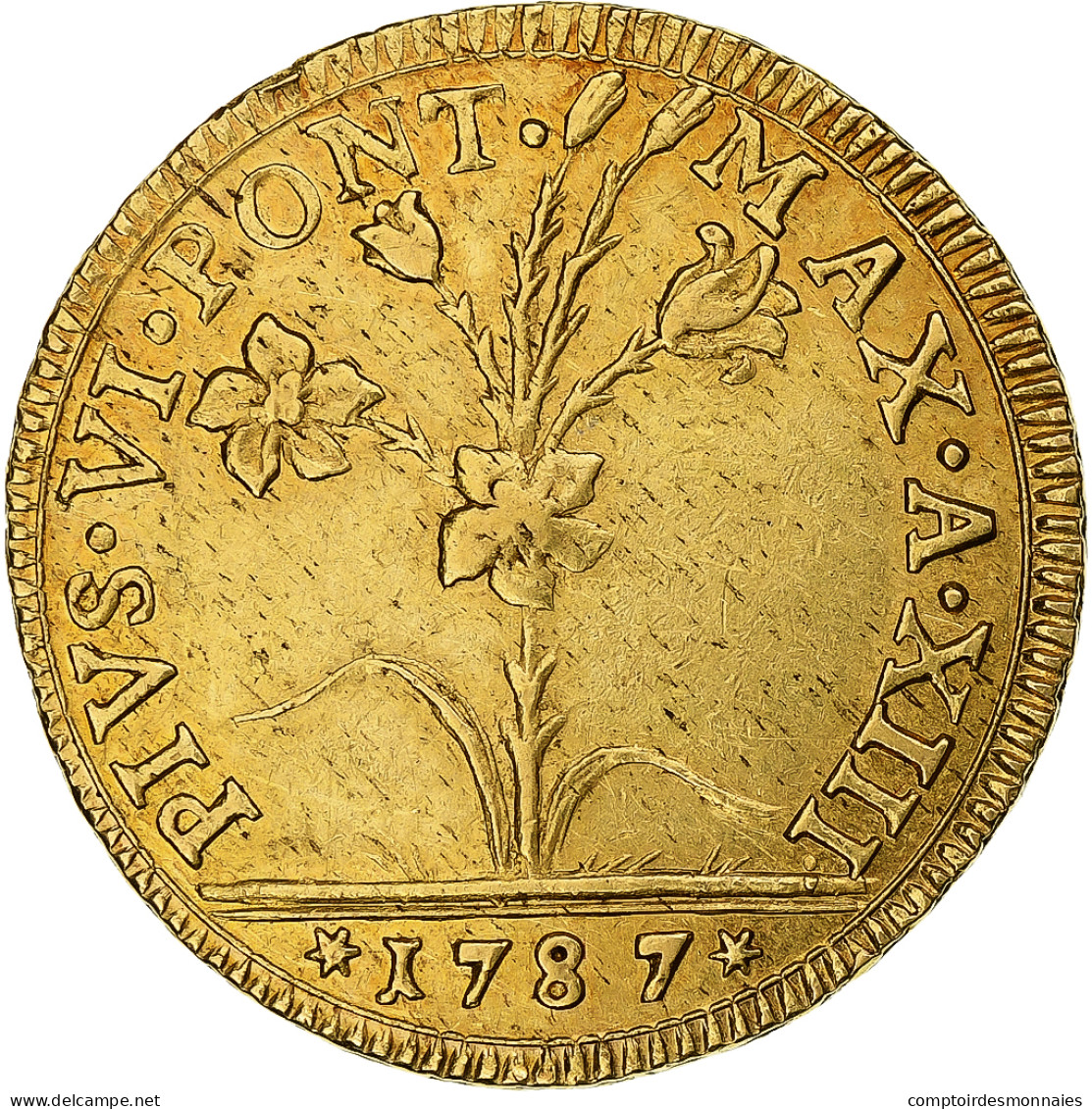 États Pontificaux, Pie VI, 2 Doppie, 1787/Anno XIII, Bologne, Or, TTB+ - Emilia