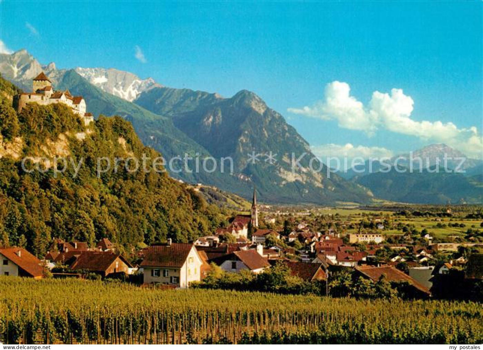 73360749 Vaduz Fuerstentum Liechtenstein Vaduz - Liechtenstein