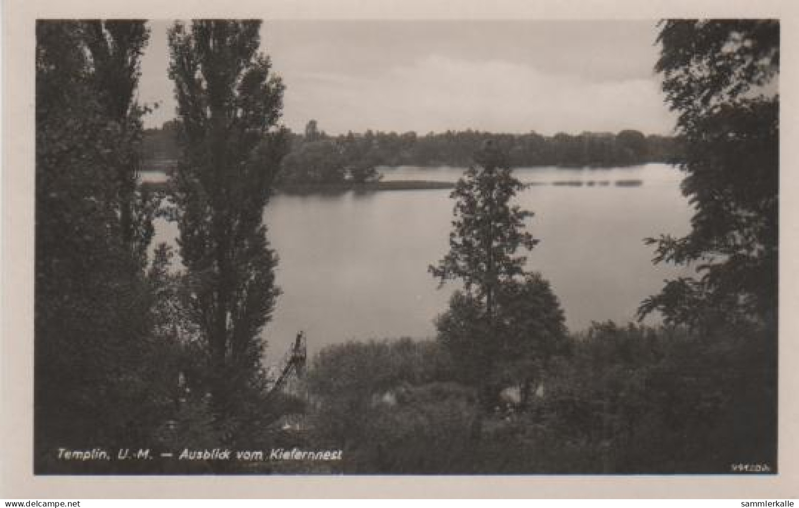 4491 - Templin, Ausblick Vom Kiefernnest - 1954 - Templin