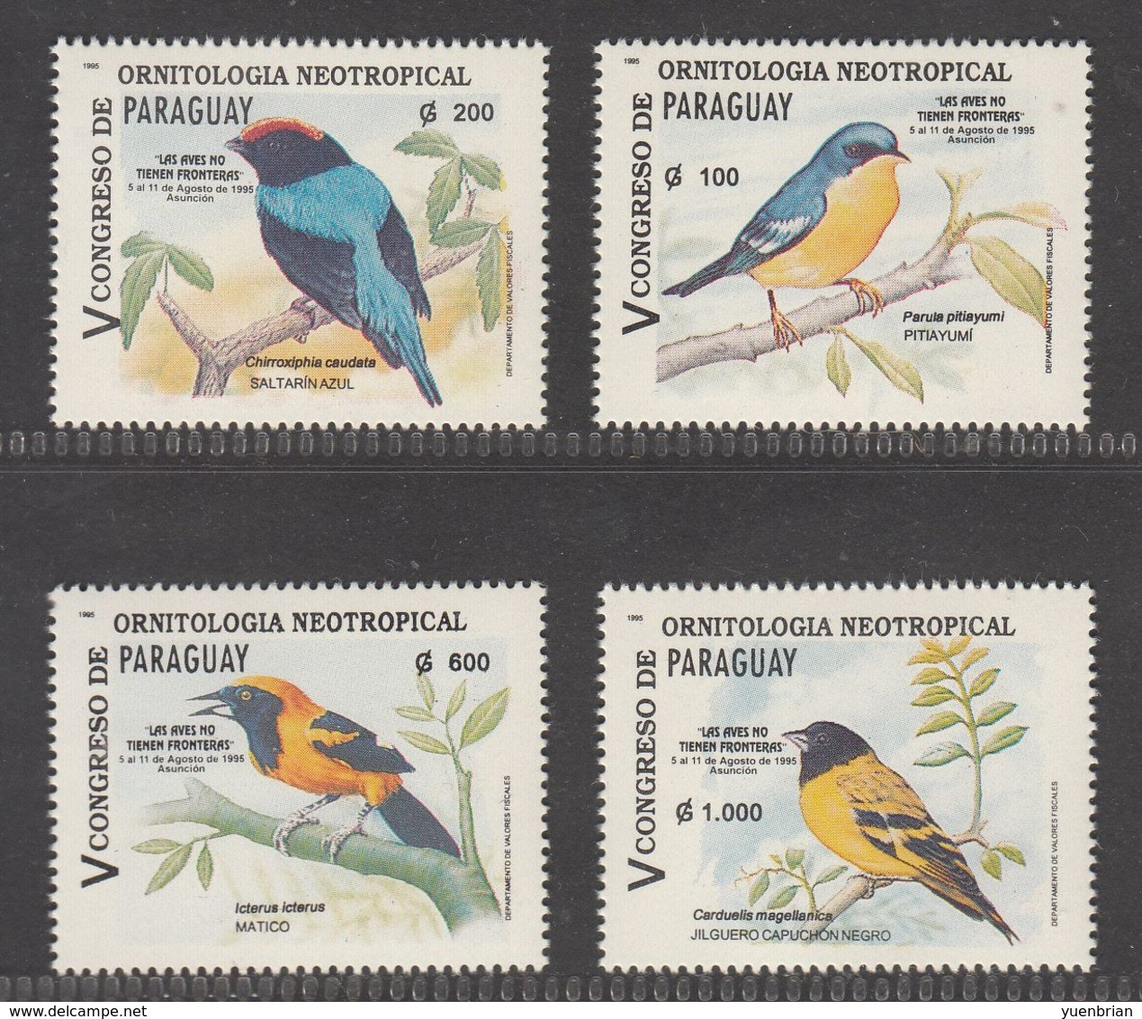 Paraguay 1995, Bird, Birds, Set Of 4v, MNH**, The Stamp Was Kept In A De-humidity Cabinet Since Purchased! - Grues Et Gruiformes