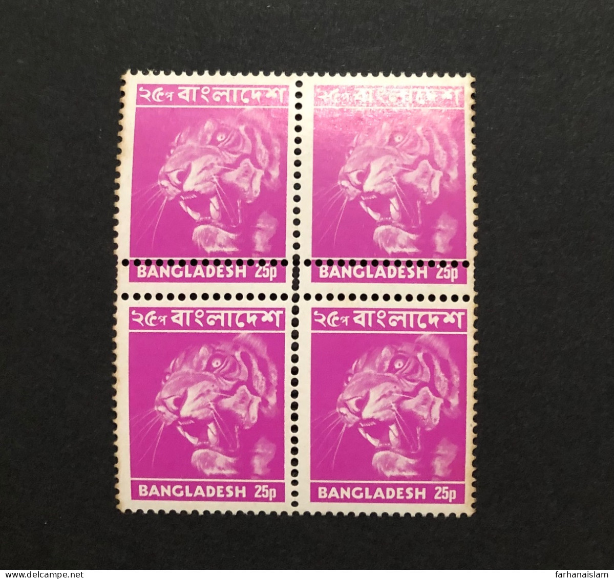 Bangladesh 1976 Definitive 25p Tiger DOUBLE PERF Error Block MNH - Bangladesh