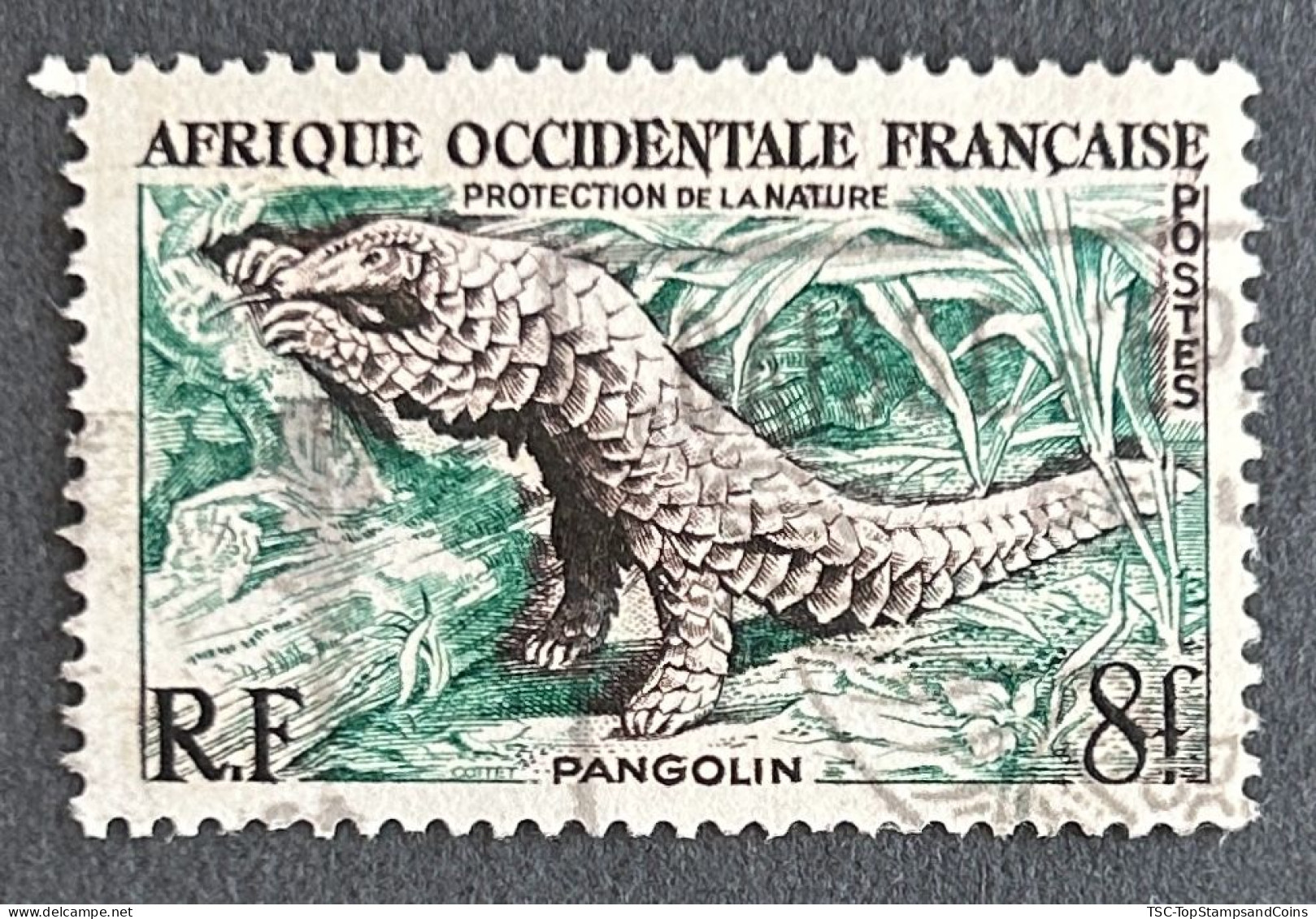 FRAWA0052U1 - Nature Conservation - Pangolin - 8 F Used Stamp - AOF - 1955 - Gebraucht
