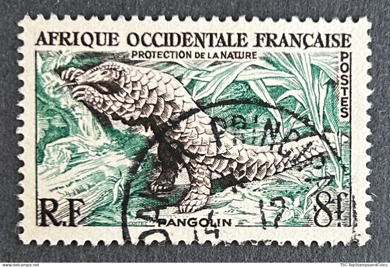 FRAWA0052U2 - Nature Conservation - Pangolin - 8 F Used Stamp - AOF - 1955 - Usati