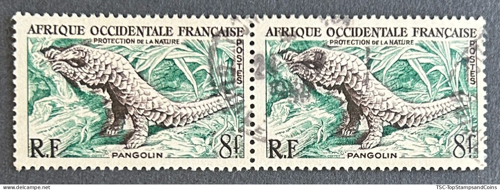 FRAWA0052Ux2h - Nature Conservation - Pangolin - Pair Of 8 F Used Stamps - AOF - 1955 - Gebraucht