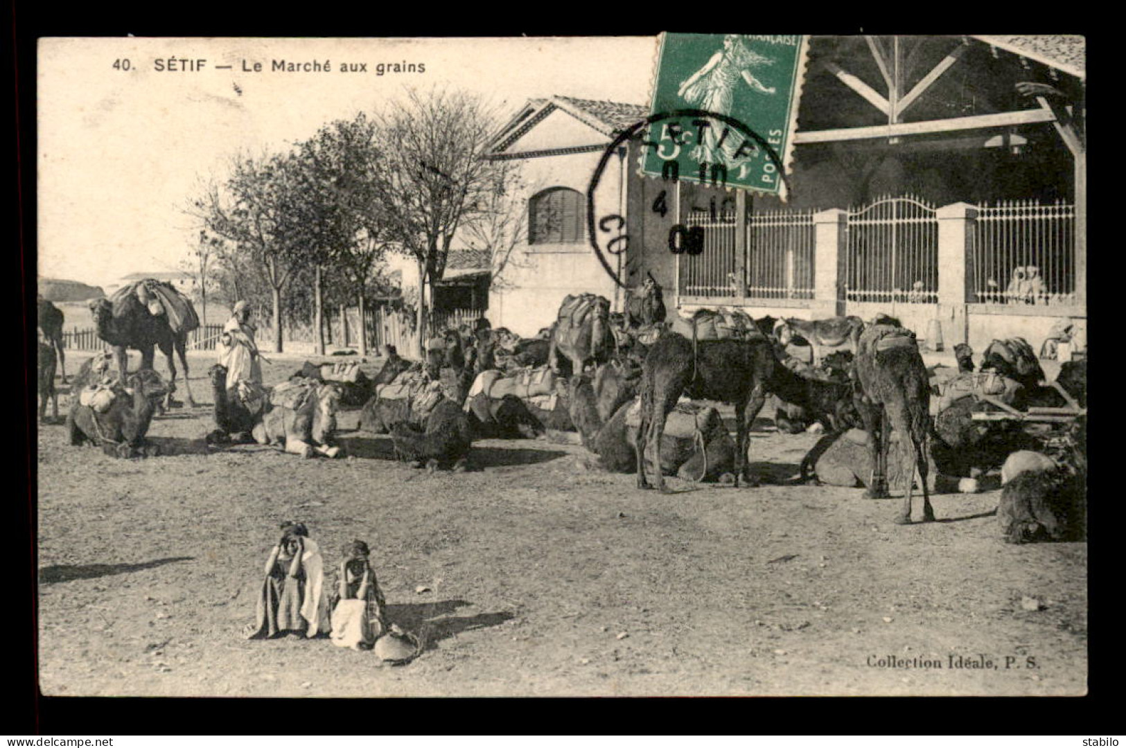 ALGERIE - SETIF - LE MARCHE AUX GRAINS - Sétif