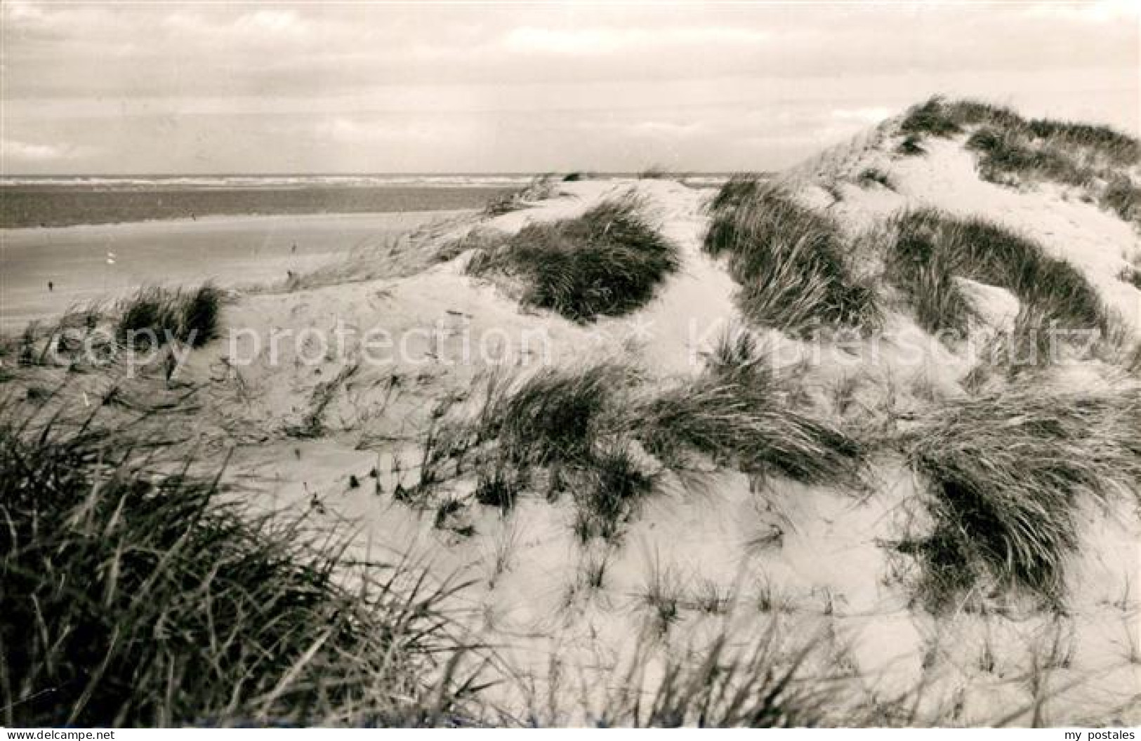 73332652 Langeoog Nordseebad Duenen Langeoog Nordseebad - Langeoog