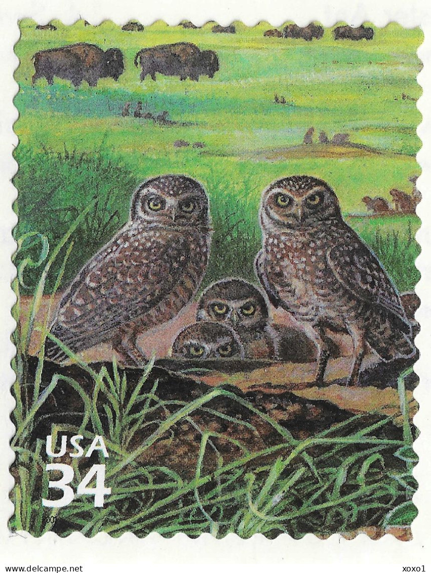 USA 2001 MiNr. 3451 Etats-Unis United States Great Plains Prairie #3 Birds Burrowing Owls 1v MNH**  0.90 € - Hiboux & Chouettes