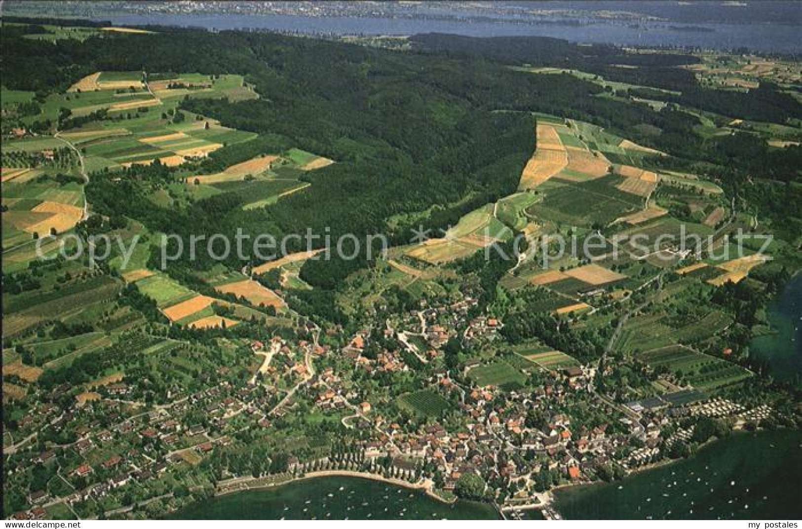 72466945 Wangen Bodensee Fliegeraufnahme Markdorf - Markdorf