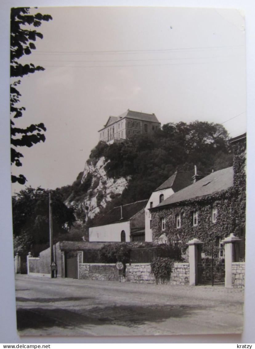 BELGIQUE - LIEGE - FLEMALLE - Château De Chokier - Flémalle