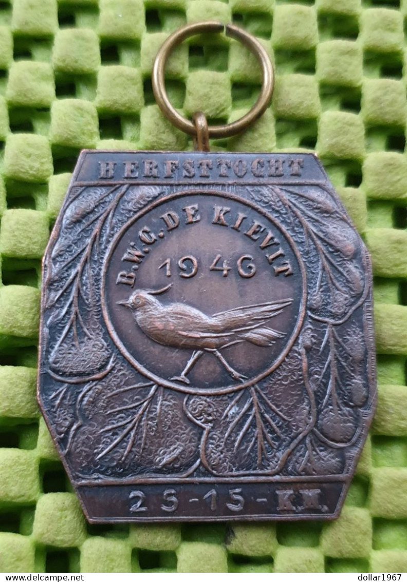 Medaille -  B.W.G. De Kievit Krimpenerwaard - 1946-  Original Foto  !!  Medallion  Dutch - Autres & Non Classés