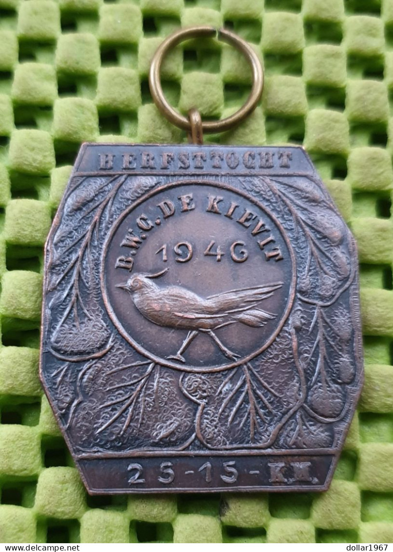 Medaille -  B.W.G. De Kievit Krimpenerwaard - 1946-  Original Foto  !!  Medallion  Dutch - Sonstige & Ohne Zuordnung