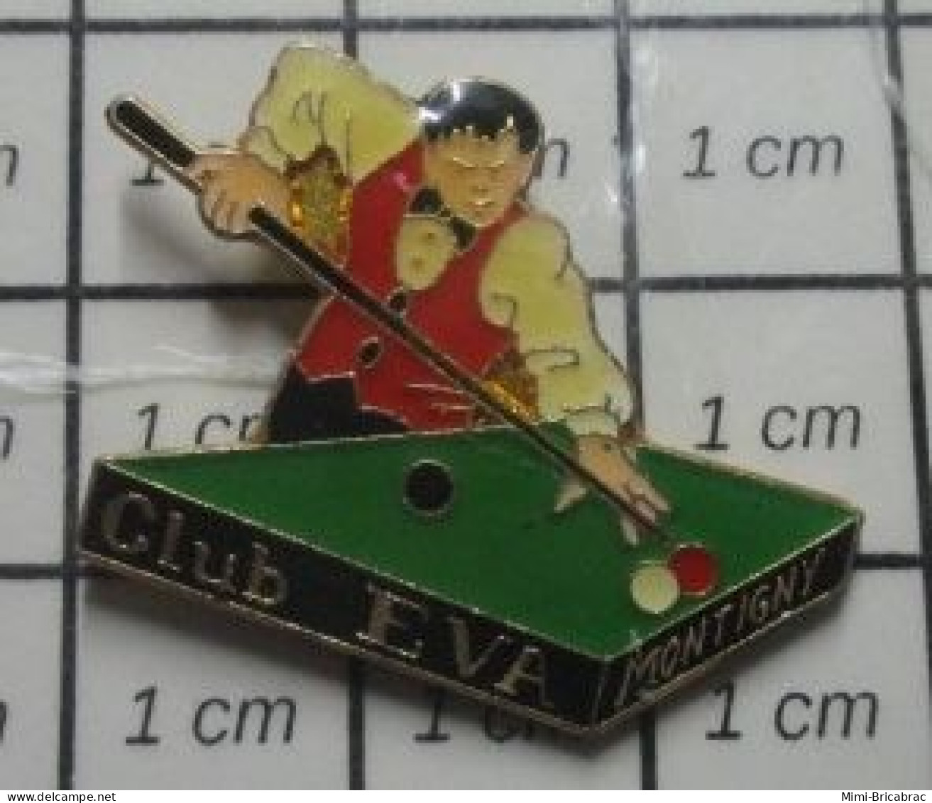 1616A  Pin's Pins / Beau Et Rare / SPORTS / BILLARD CLUB EVA MONTIGNY - Biliardo