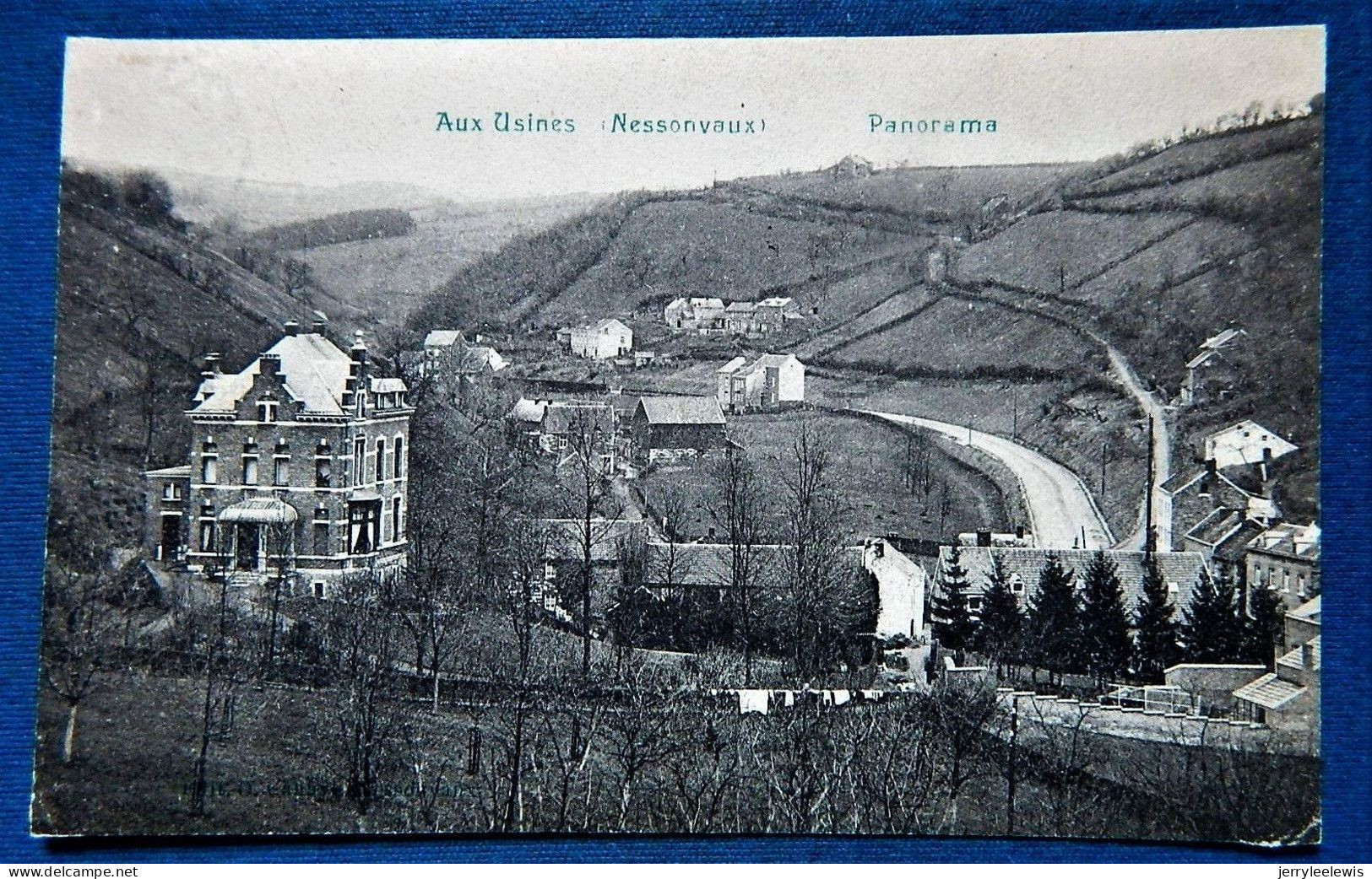 NESSONVAUX  -  Aux Usines  - Panorama - Trooz