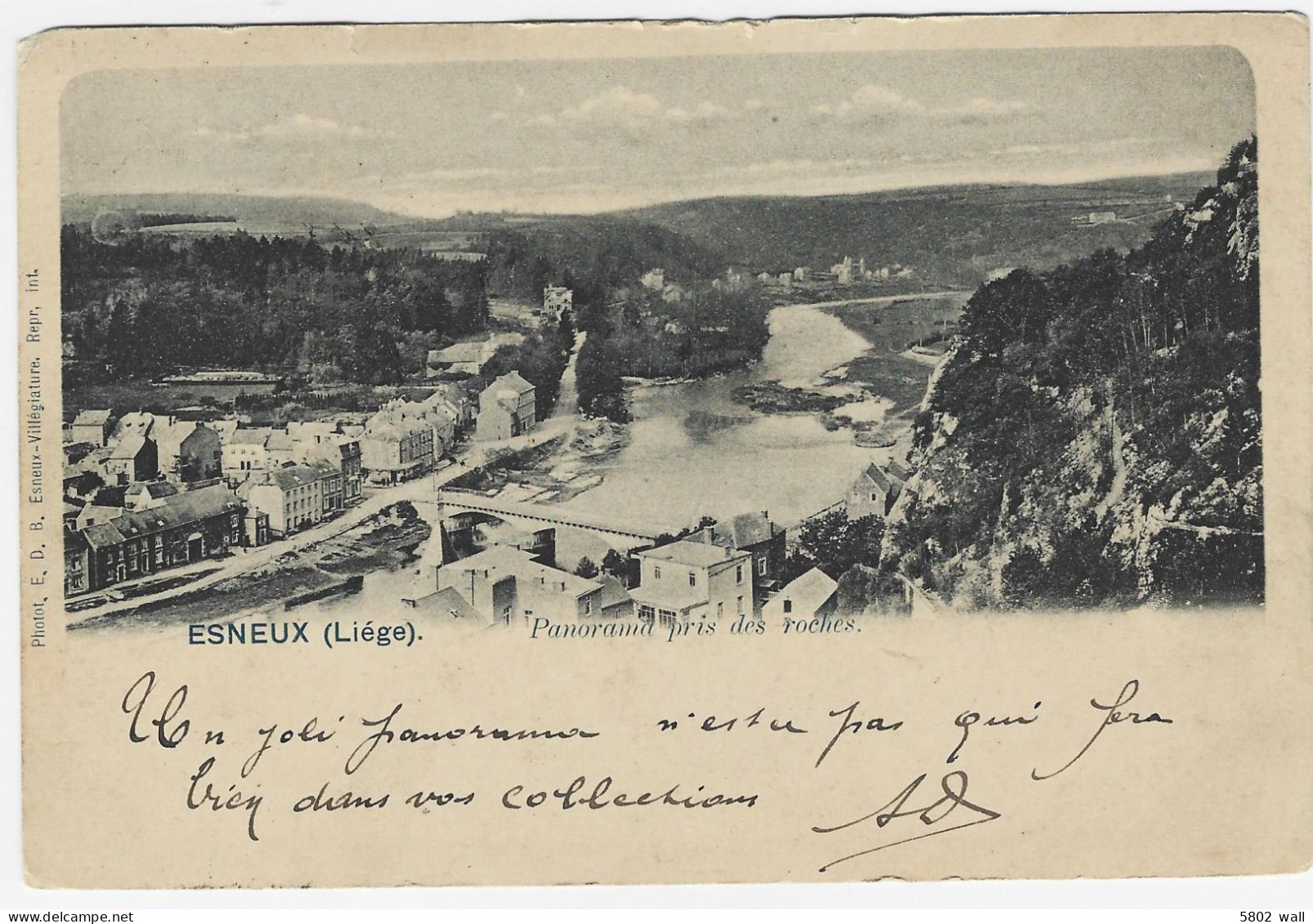 ESNEUX : Panorama Pris Des Rochers - 1900 - Esneux