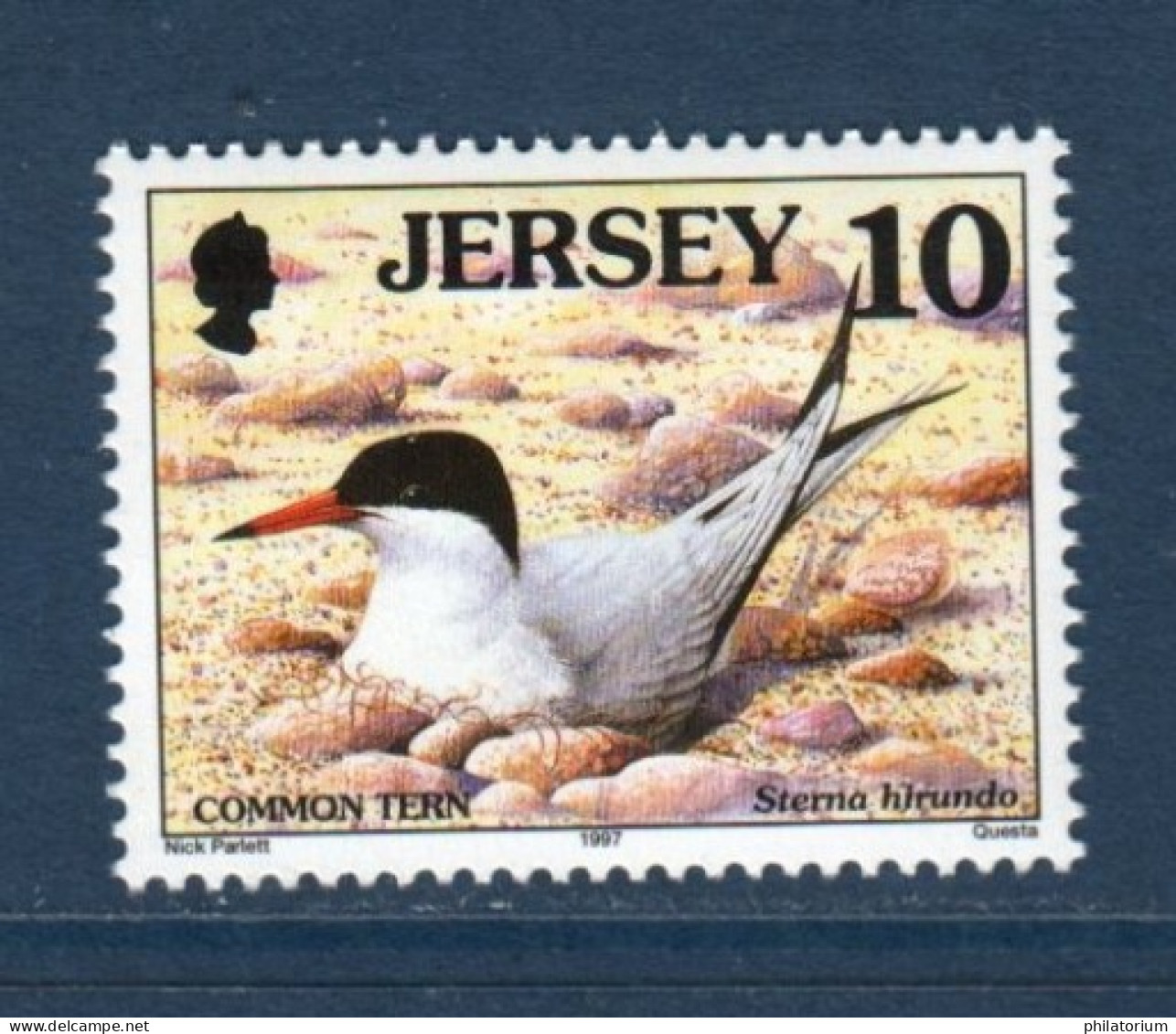 Jersey, **, Yv 760, Mi 766, SG 778, Sterne Pierregarin, - Möwen