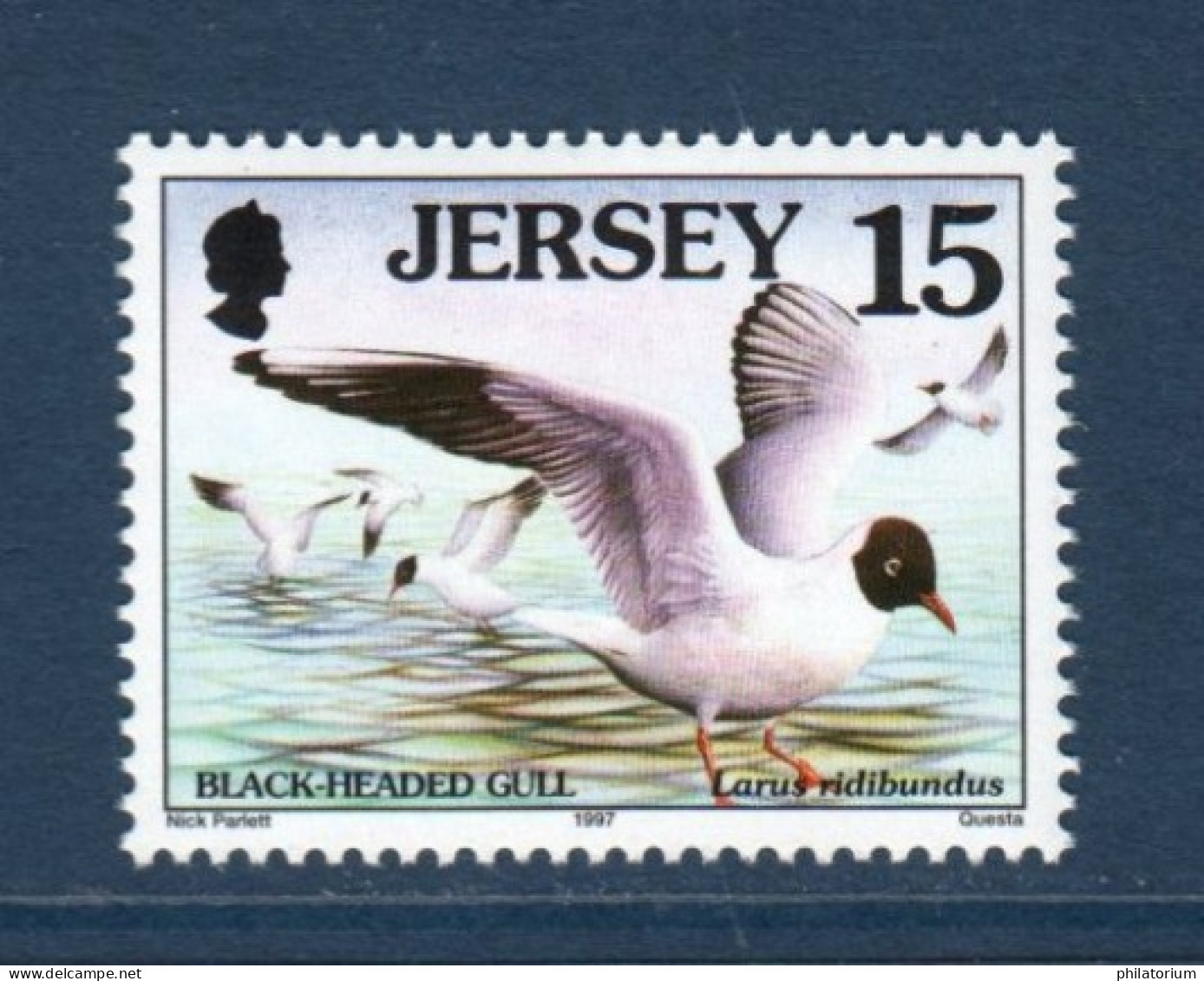 Jersey, **, Yv 761, Mi 767, SG 779, Mouette Rieuse - Gabbiani