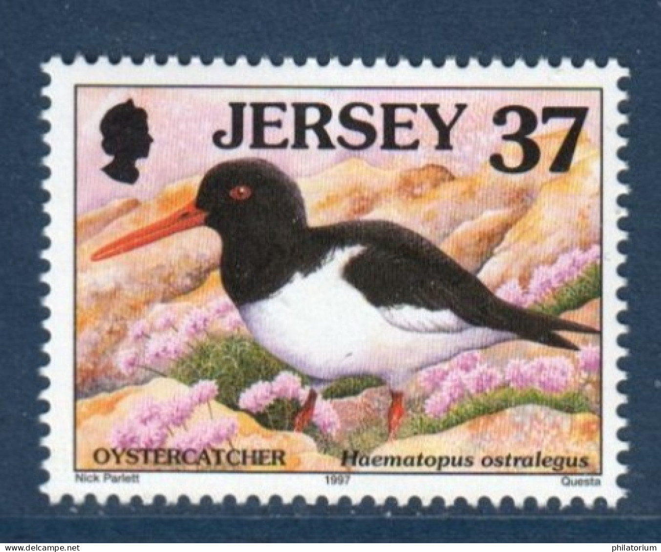 Jersey, **, Yv 764, Mi 770, SG 796, Huîtrier Pie - Seagulls