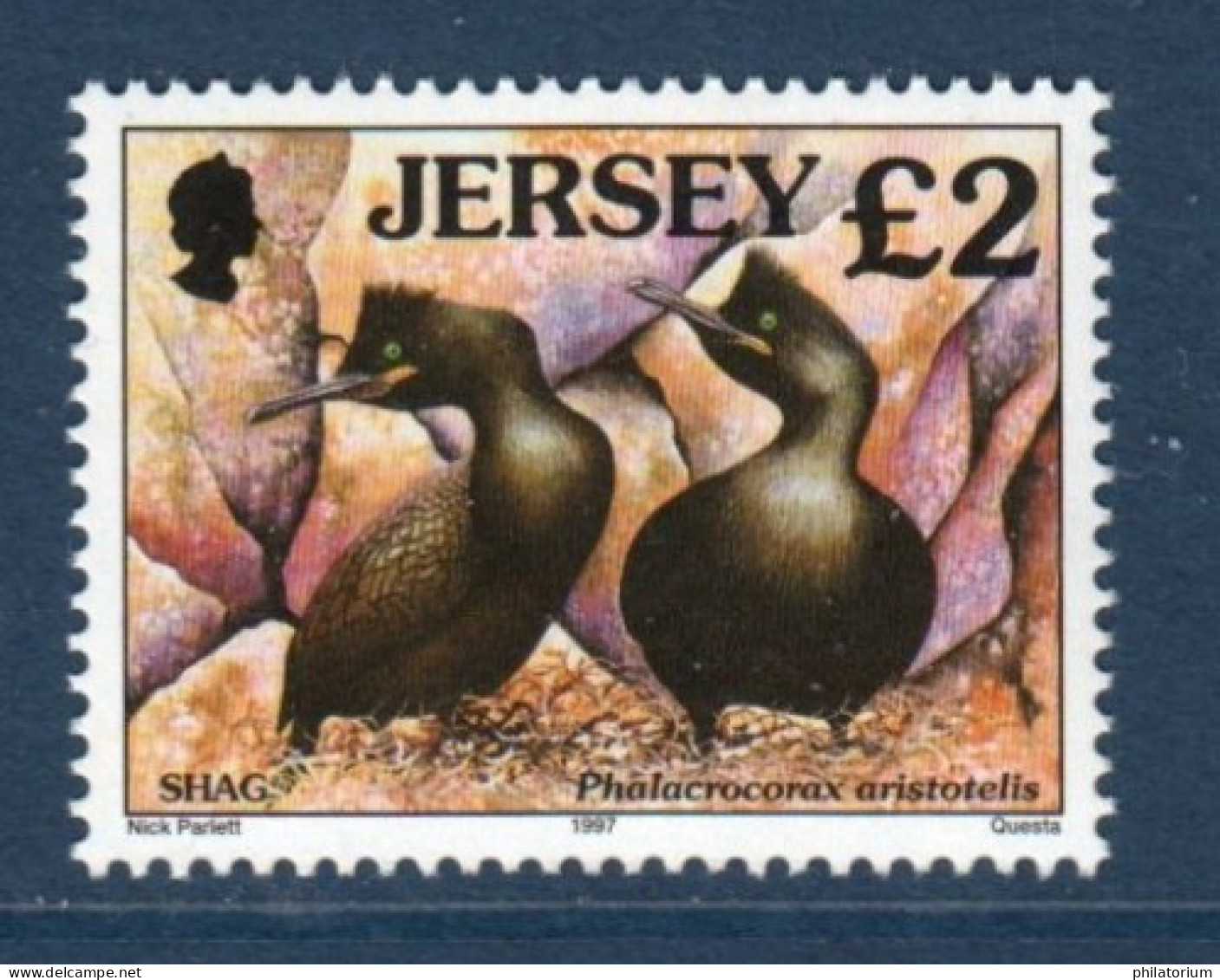 Jersey, **, Yv 766, Mi 772, SG 805, Cormoran Huppé, - Gabbiani