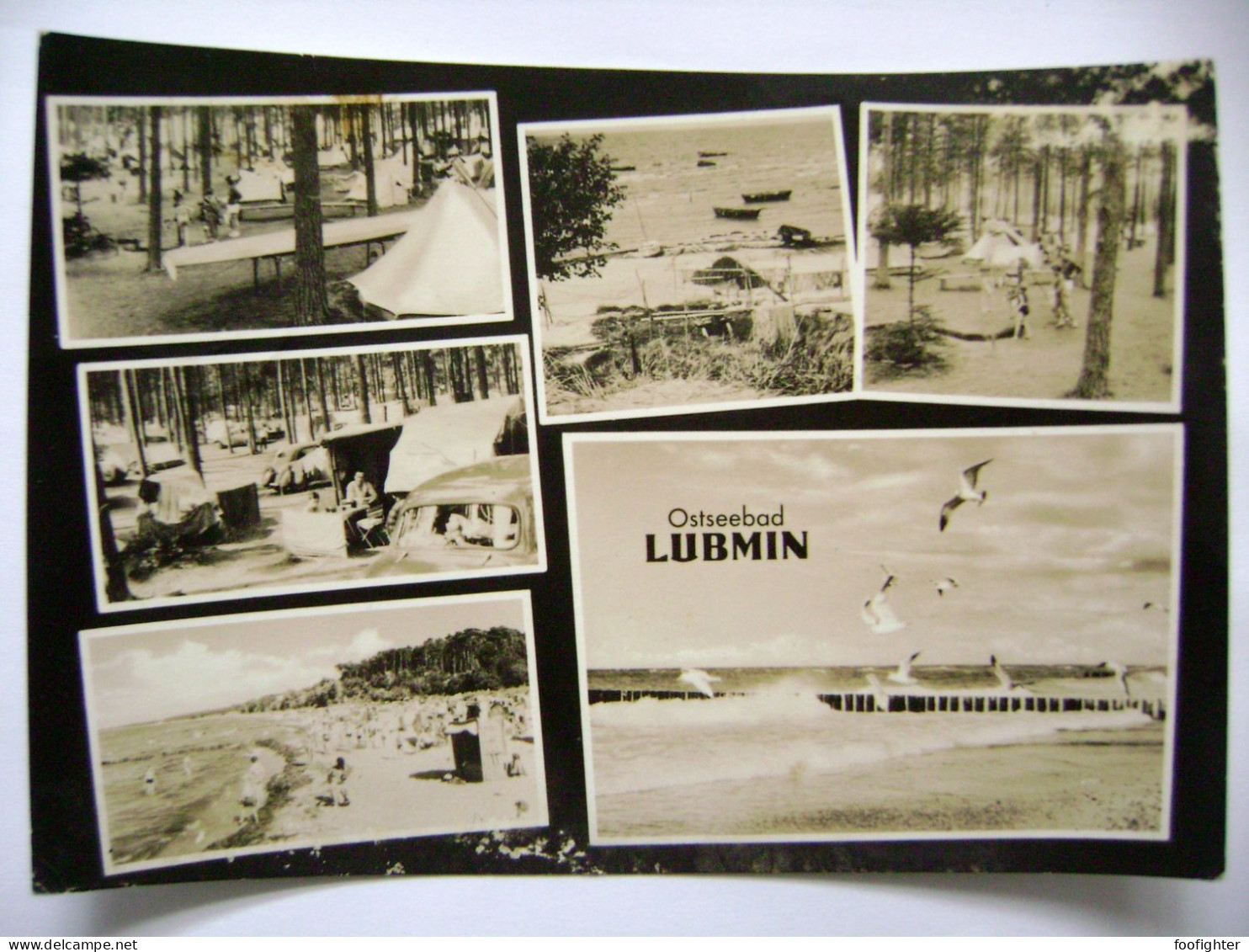 Germany DDR Lubmin - Zelten Im Wald, Strand - 1960s - Lubmin