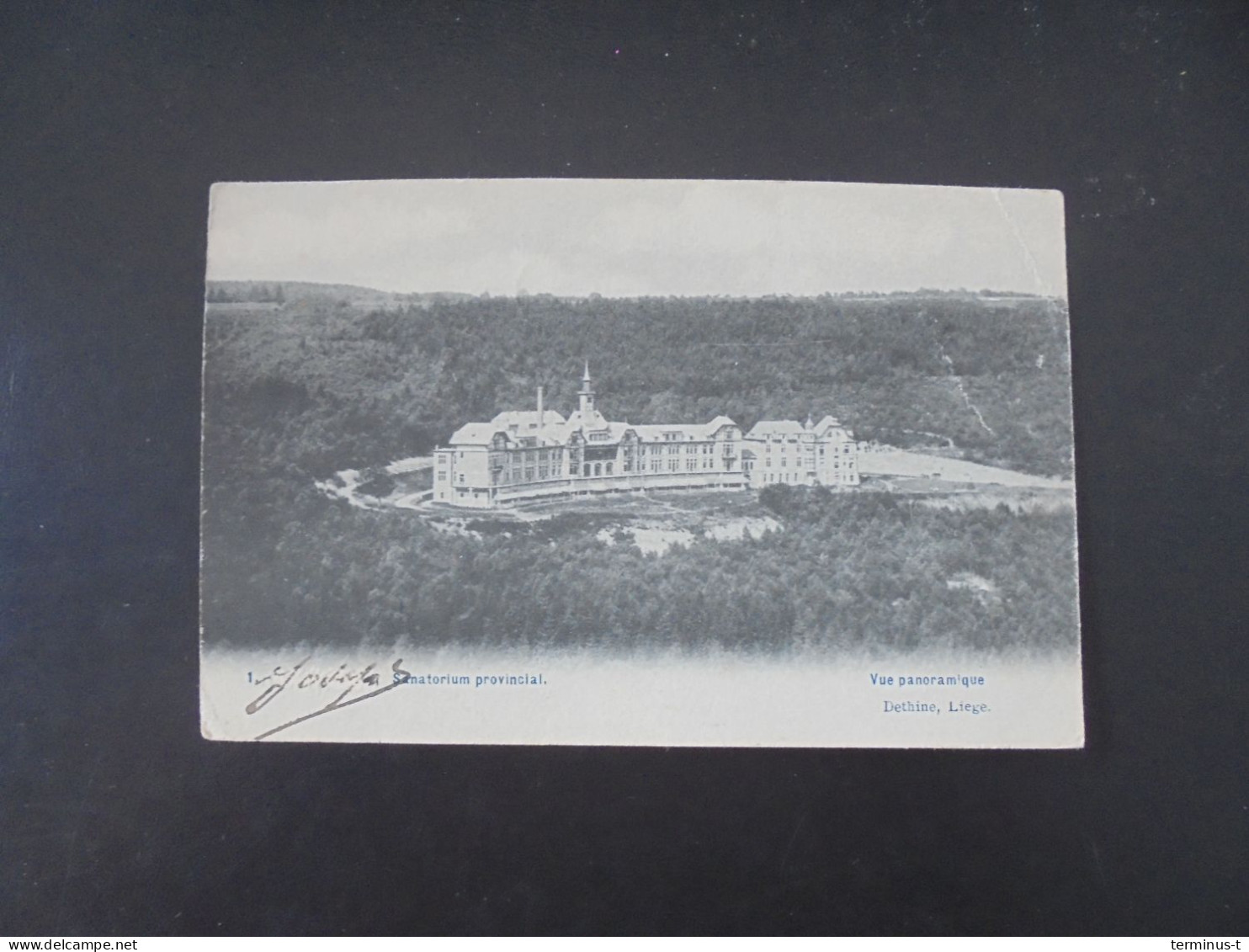 (Borgoumont) Sanatorium Provincial. Vue Panoramique - Stoumont