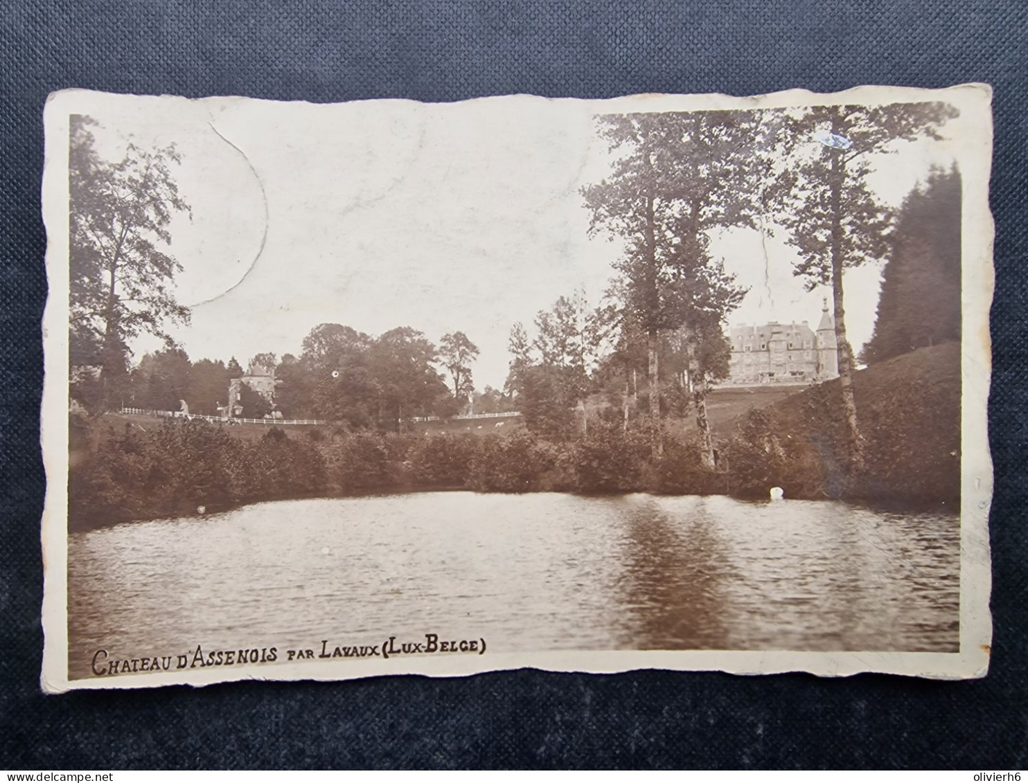 CP BELGIQUE BELGIE (M2311) Château D'ASSENOIS Par LAVAUX (2 Vues) Jacques De Ghellinck - M. Van Den Corput - Vaux-sur-Sûre