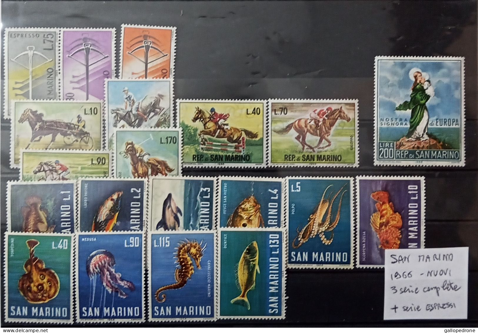 1964/65/66 San Marino, 9 Serie Complete 44 Val.+5 EXP - Nuovi - MNH ** - Unused Stamps