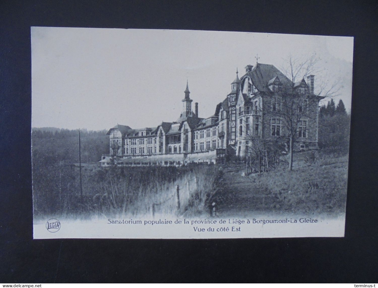 Sanatorium Populaire De La Province De Liége à Borgoumont-La Gleize. Vue Du Côté Est - Stoumont