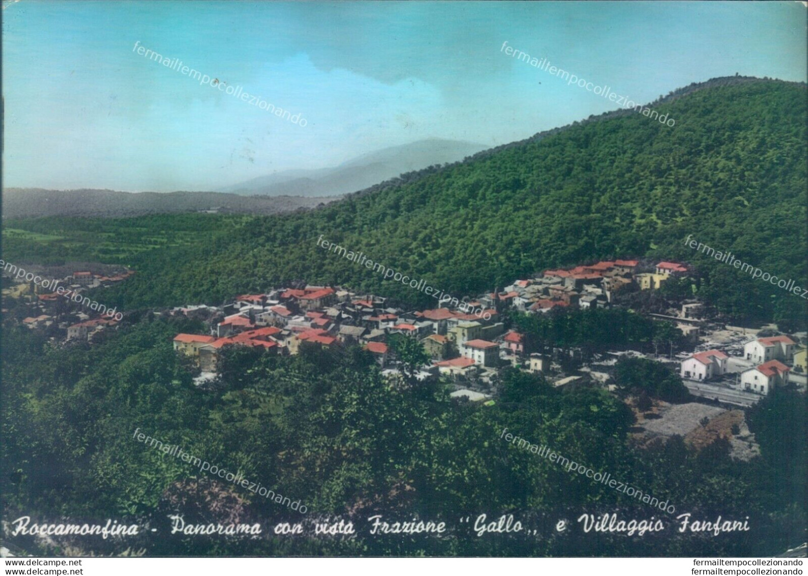 P705 Cartolina Roccamonfina Frazione Gallo  Provincia Di Caserta - Caserta