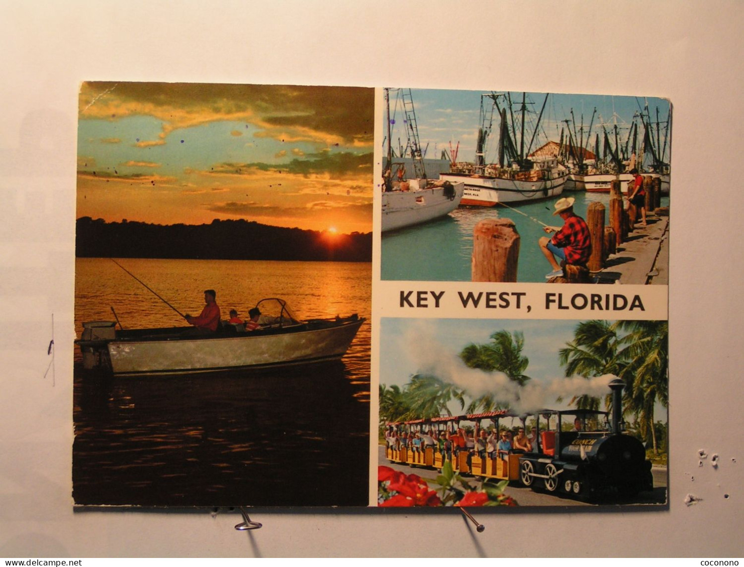 Key West - Vues Diverses - Key West & The Keys