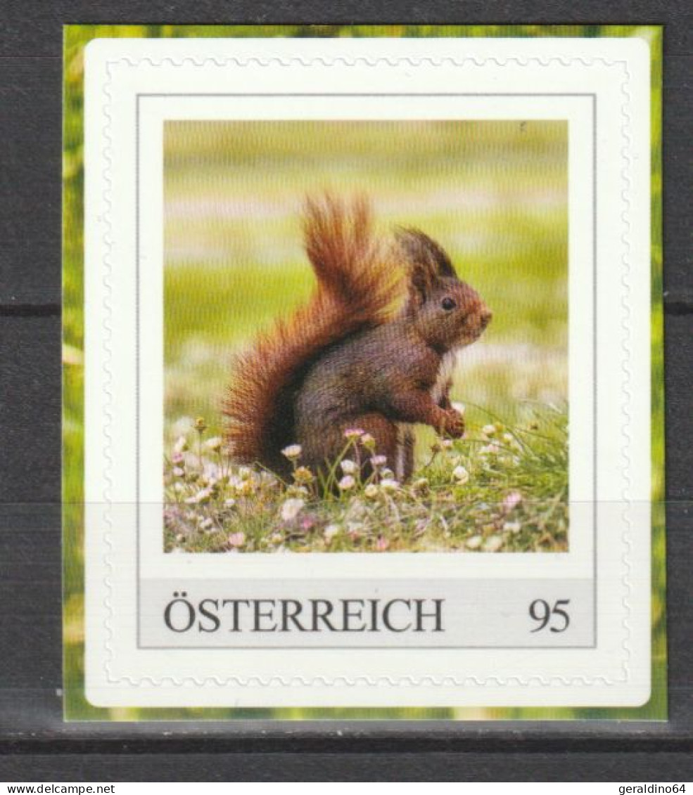 Österreich Personalisierte BM Tiere Im Garten Nagetiere Eichhörnchen ** Postfrisch Selbstklebend - Persoonlijke Postzegels