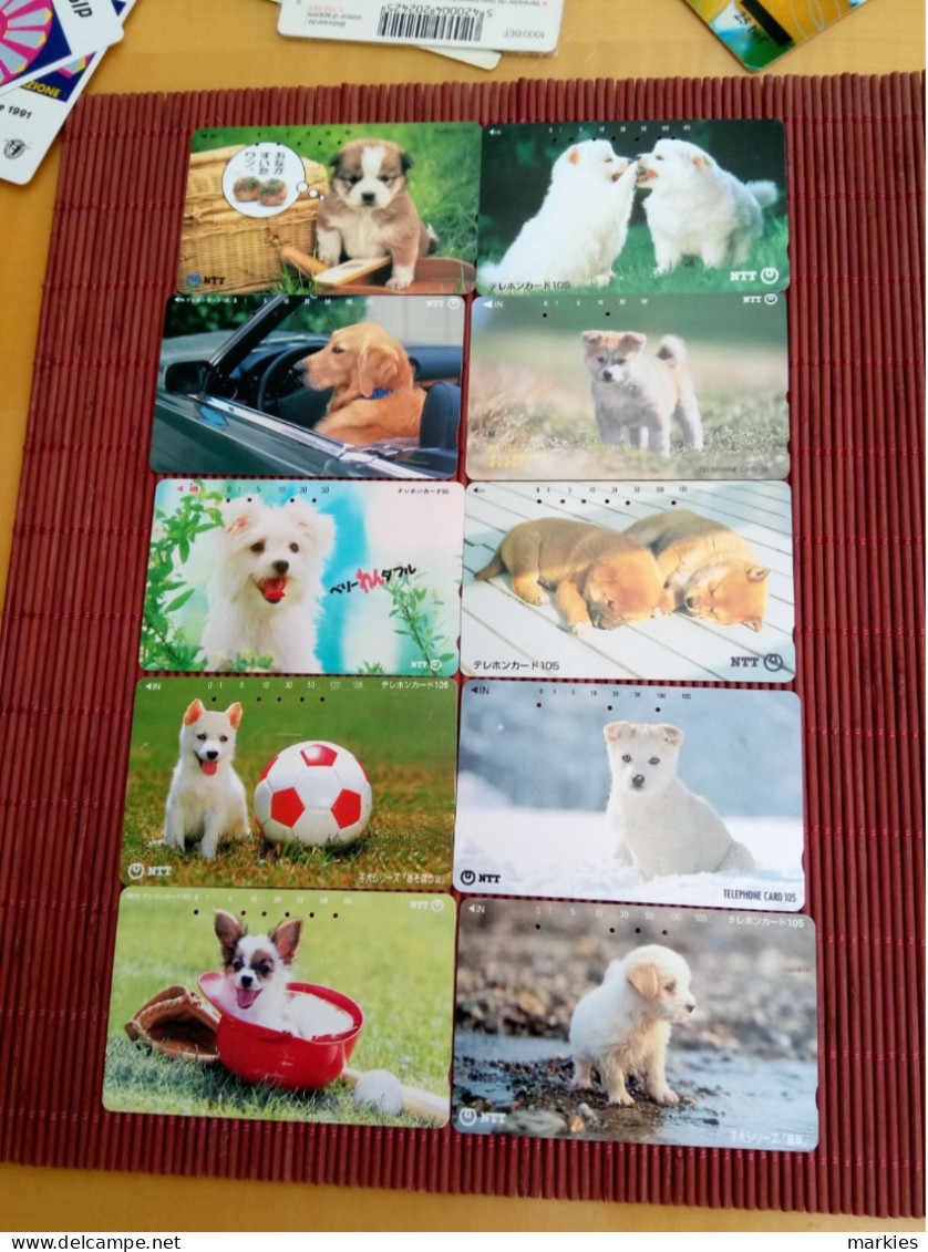10 Phonecards Dog Used  Rare - Chiens