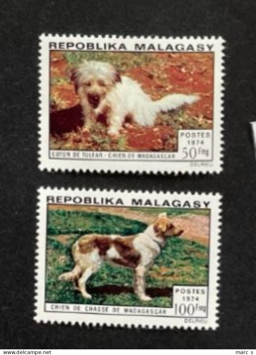 MADAGASCAR 1974 - NEUF**/MNH - Série Complète Mi 726 / 727 - YT 547 / 548 - CHIENS DOGS - Madagascar (1960-...)