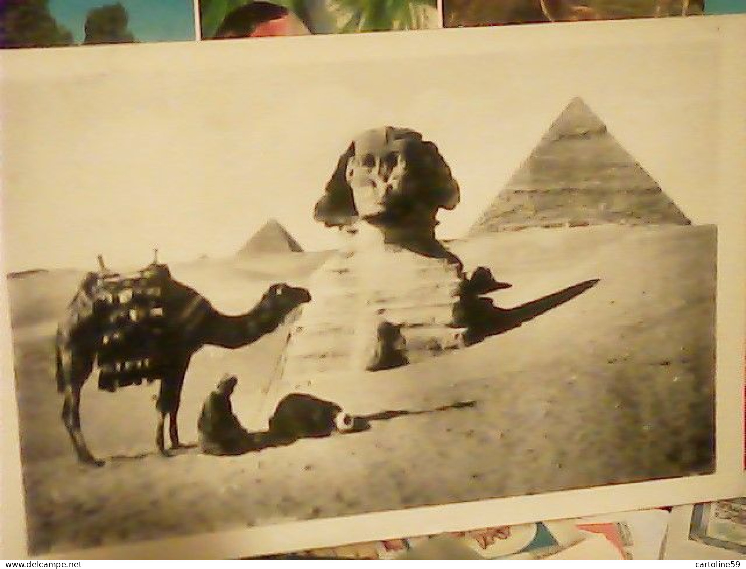 EGYPT  EGITTO SPHINX SFINGE   VB1967 JU5121 - Sfinge