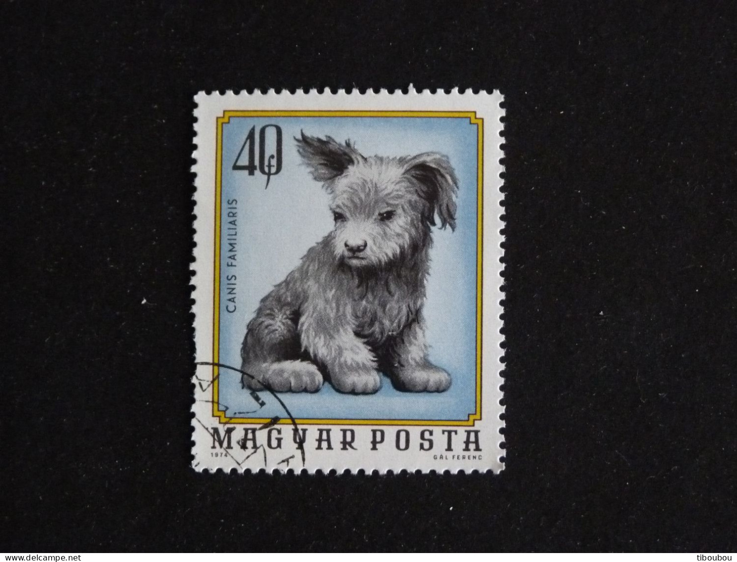 HONGRIE HUNGARY MAGYAR YT 2404 OBLITERE - JEUNES ANIMAUX DOMESTIQUES / CHIOT CHIEN DOG HUND - Usado