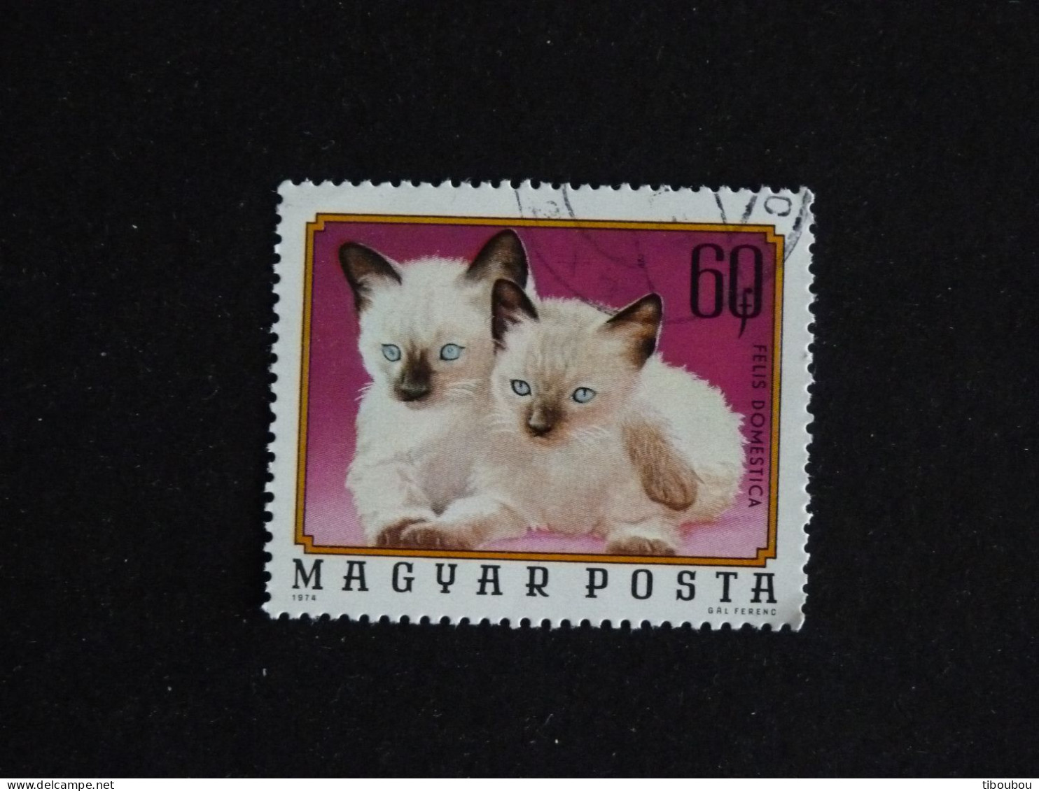 HONGRIE HUNGARY MAGYAR YT 2405 OBLITERE - JEUNES ANIMAUX DOMESTIQUES / CHATON CHAT CAT KATZ - Usado