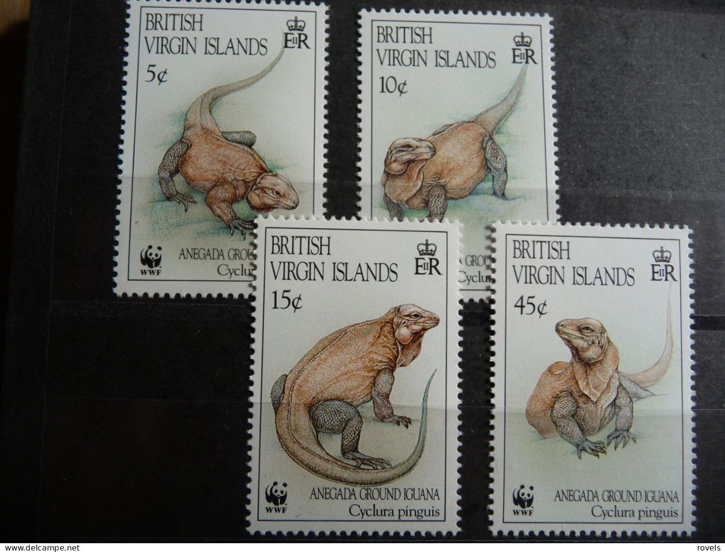 (8) BRITISH VIRGIN ISLANDS - 4v- 1995 WWF - IGUANA - British Virgin Islands