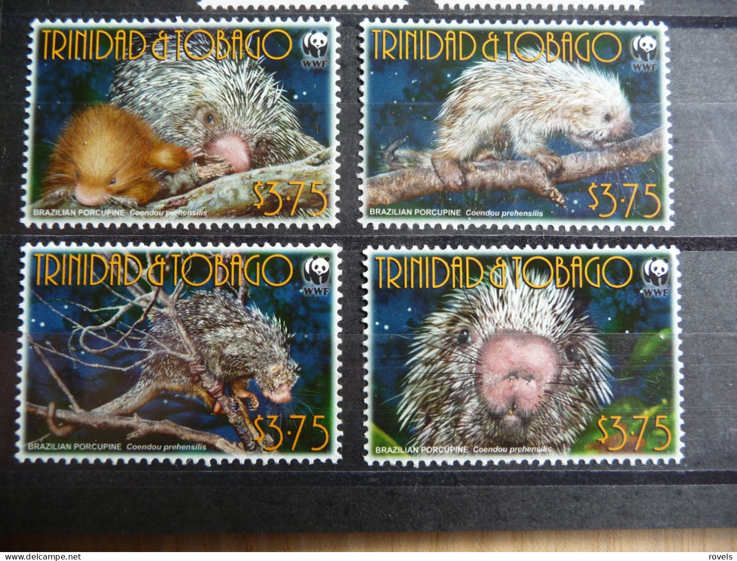 (8) Trinidad And Tobago WWF Brazilian Porcupine 4v 2008 MNH - Trinité & Tobago (1962-...)