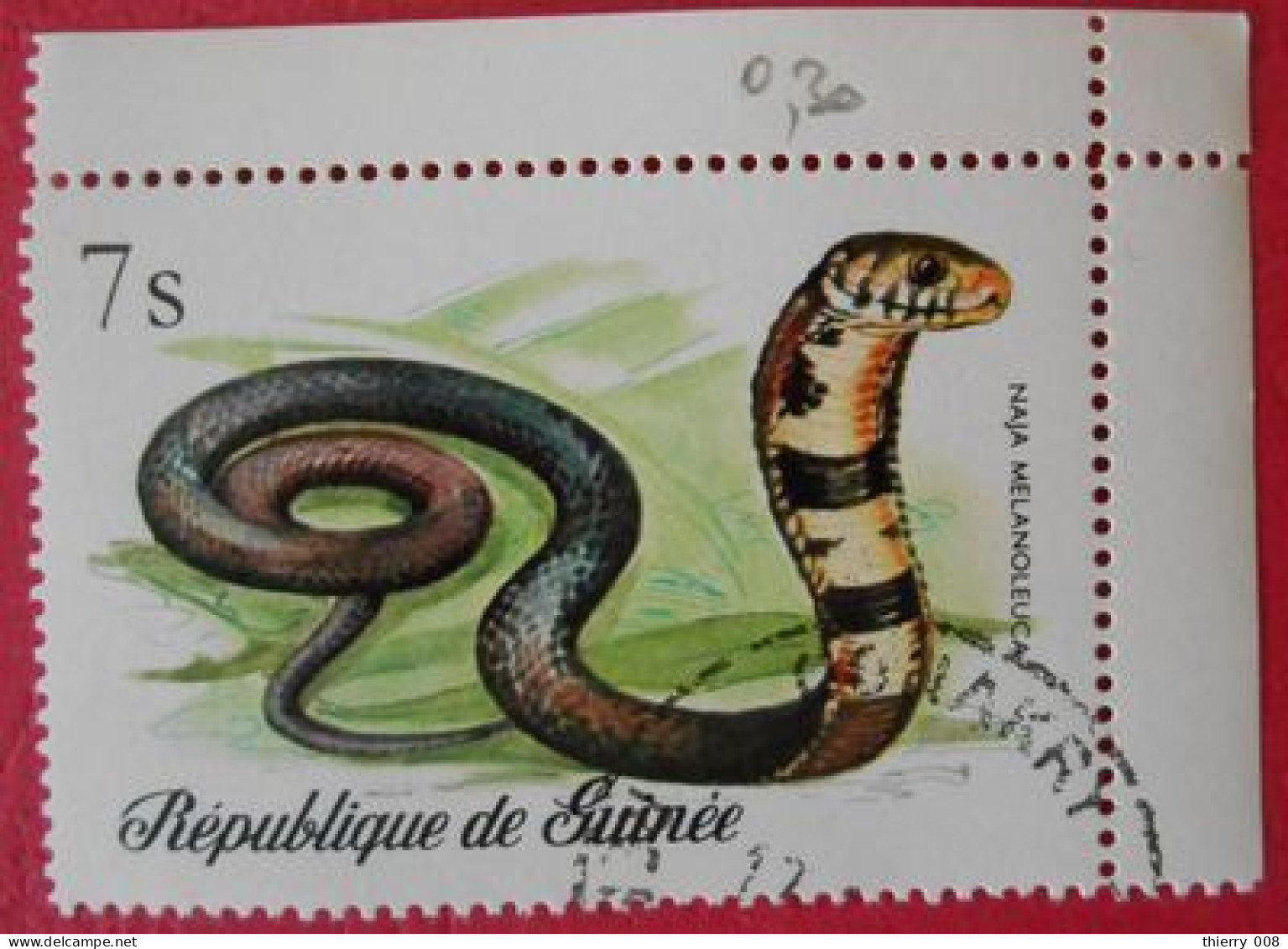 93 République De Guinée Faune Reptile Serpent - Serpents