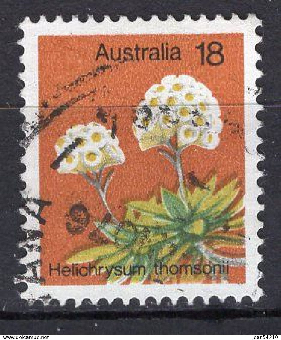 AUSTRALIE - Timbre N°576 Oblitéré - Used Stamps